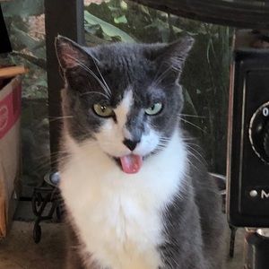 Custom bundle for Marlene